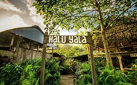 The Jungle Lodge At Kalu Yala