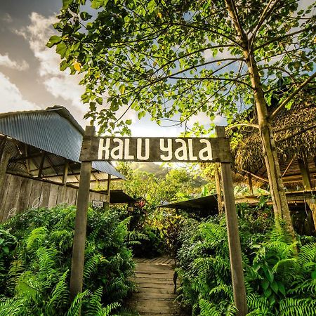 The Jungle Lodge At Kalu Yala Panama  Extérieur photo