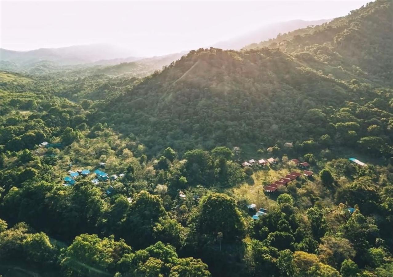 The Jungle Lodge At Kalu Yala Panama  Extérieur photo