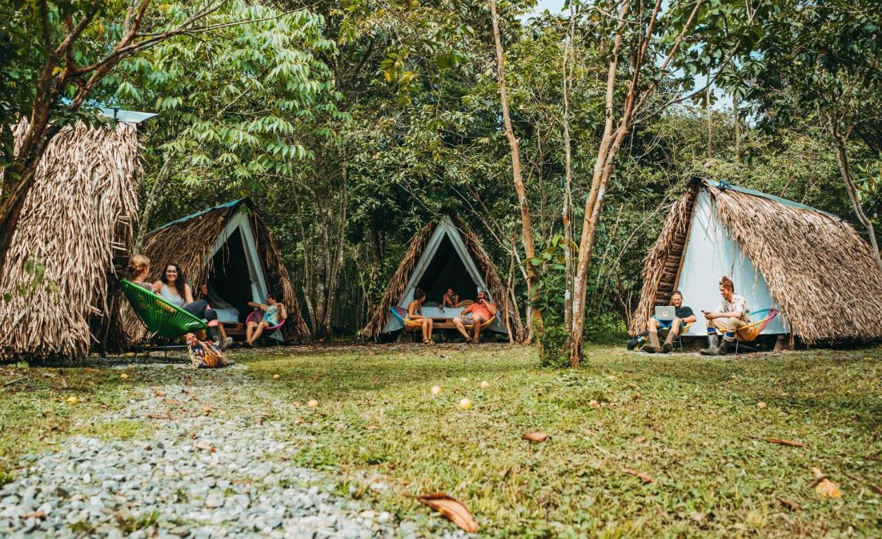 The Jungle Lodge At Kalu Yala Panama  Extérieur photo