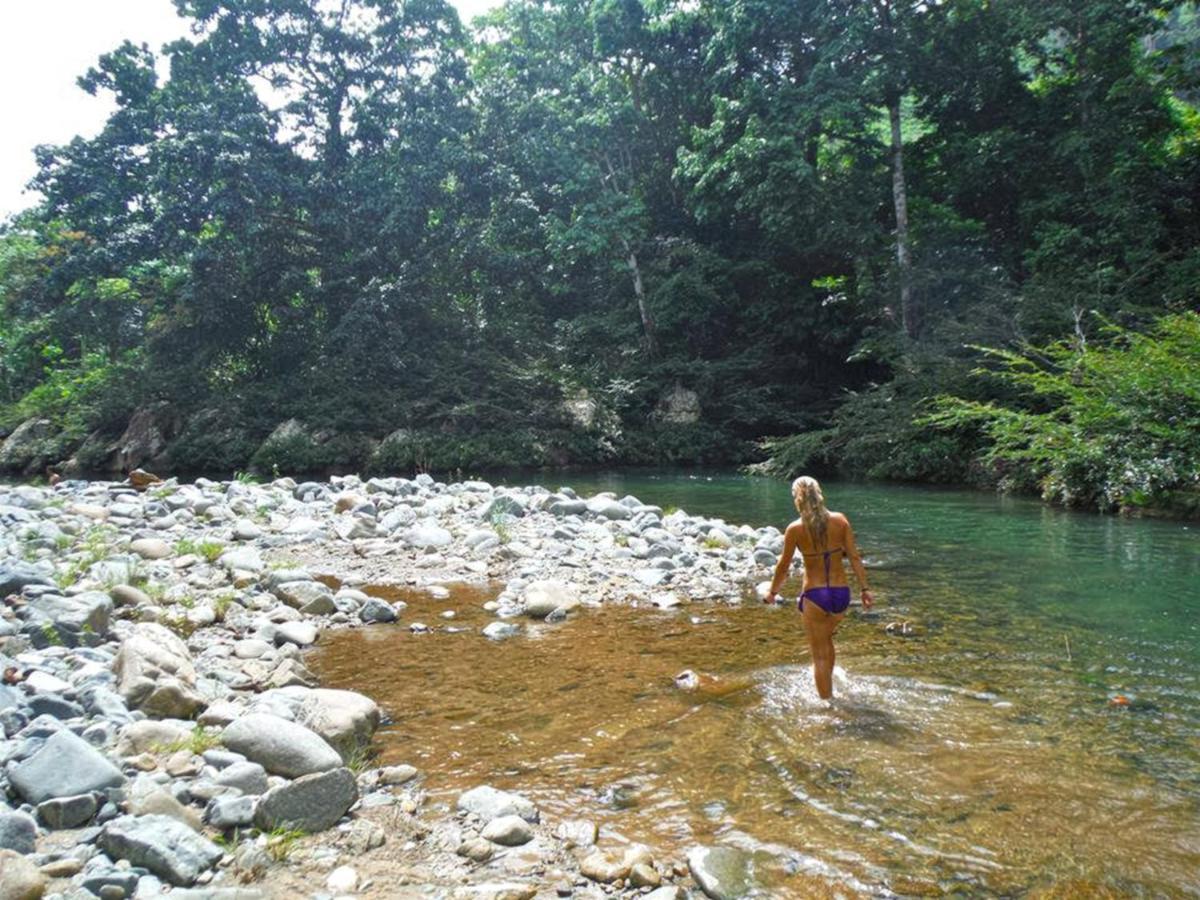 The Jungle Lodge At Kalu Yala Panama  Extérieur photo